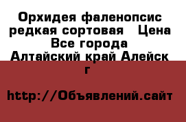 Орхидея фаленопсис редкая сортовая › Цена ­ 800 - Все города  »    . Алтайский край,Алейск г.